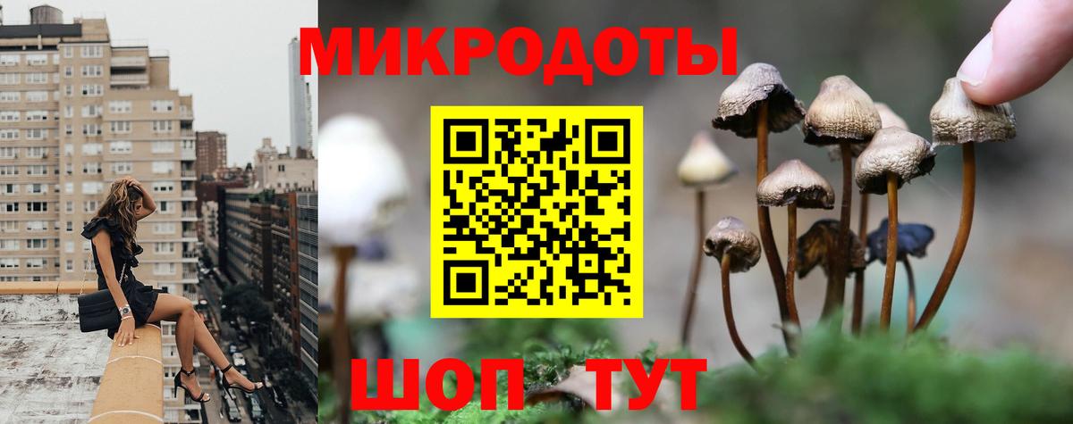 Галлюциногенные грибы Psilocybine cubensis Ртищево